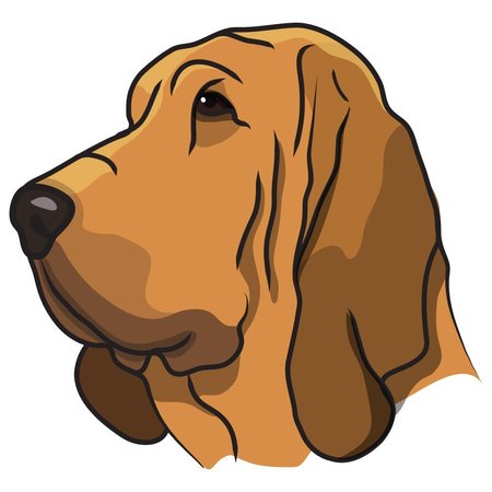 SIGNMISSION Bloodhound Dog Decal, Dog Lover Decor Vinyl Sticker D-12-Bloodhound